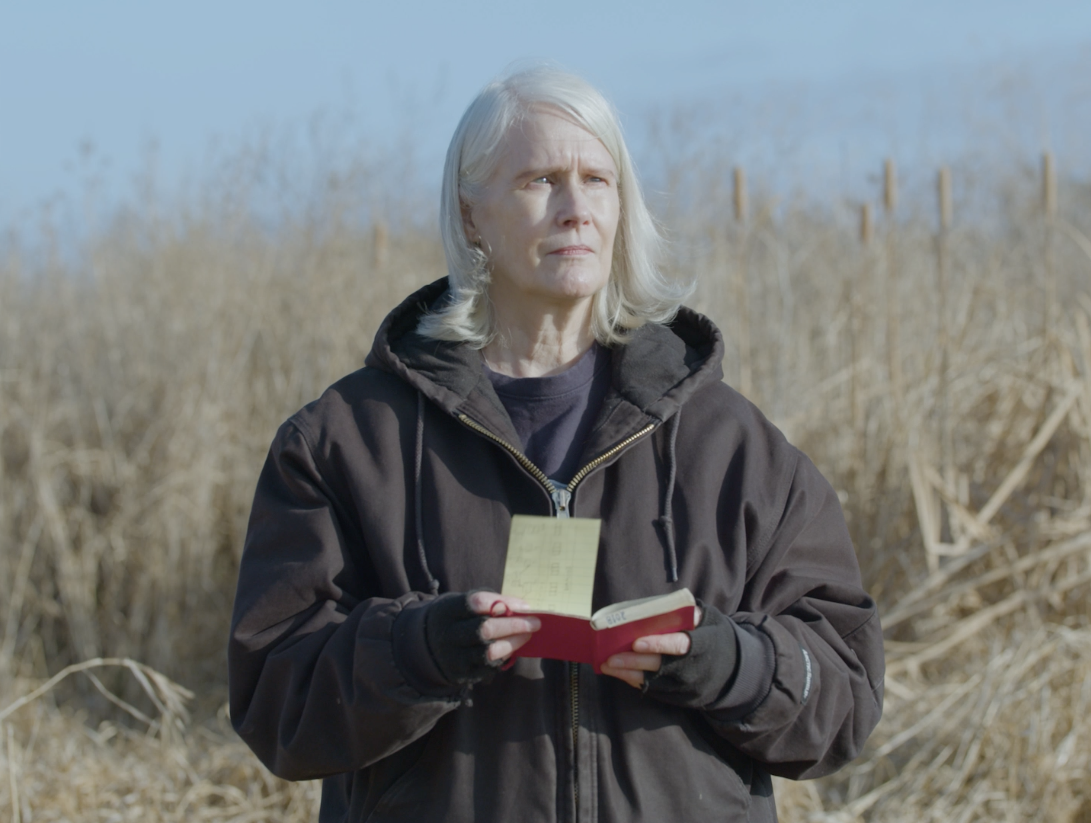 Woman looking in field holding a notebook.