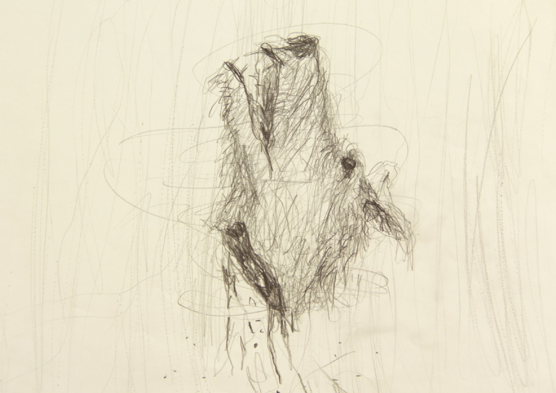 Pencil drawing of a dog's severed head