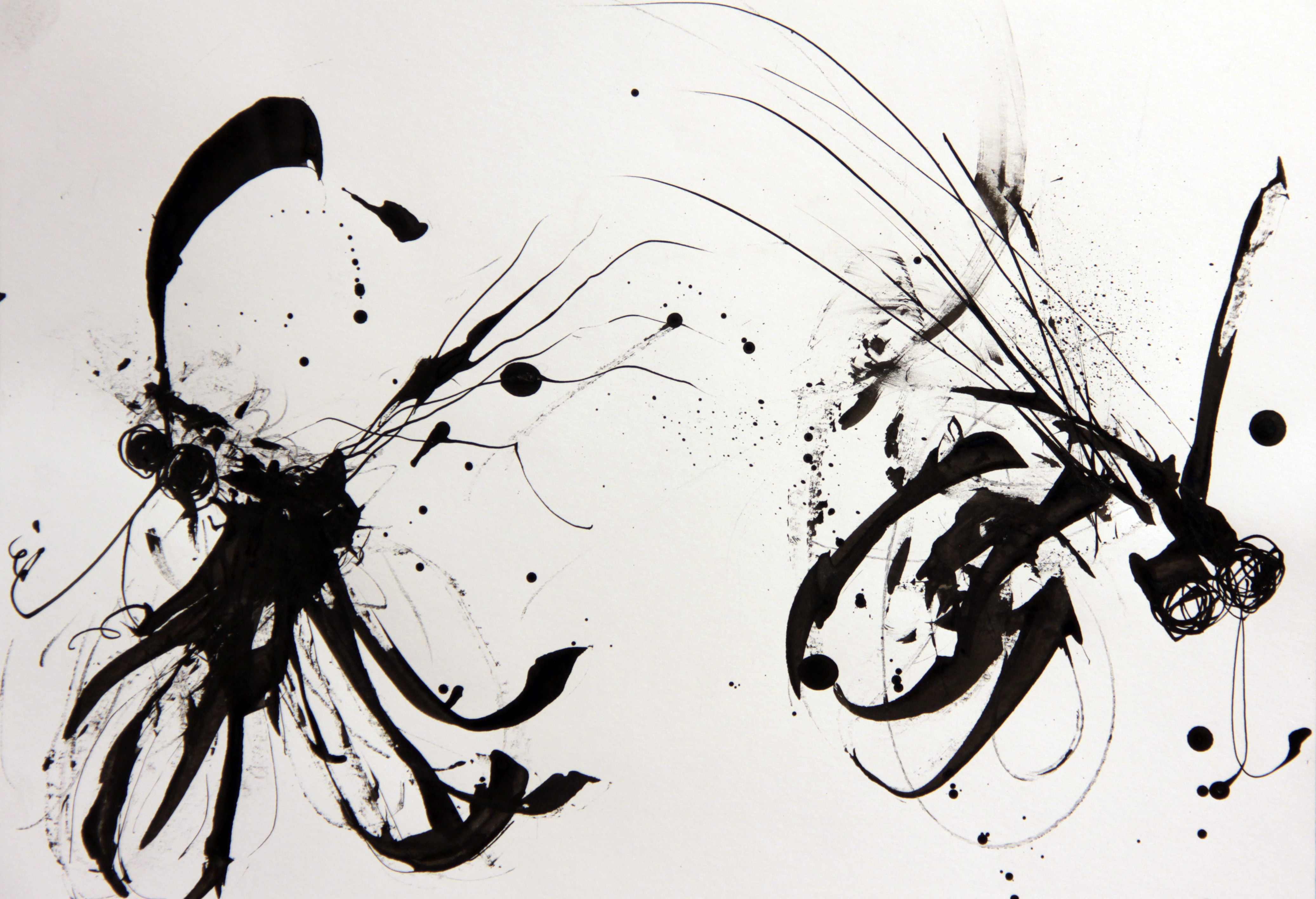 Splatter ink sketch of fly